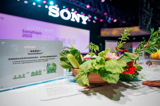 激发灵感与热情，与追梦者共创感动 索尼 “Sony Expo 2023”举办 第22张