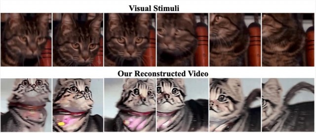 所想即所得！研究人员称AI模型MinD-Video可将大脑信号生成视频 第1张