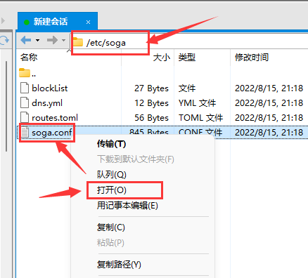 V2Board面板 v2ray后端节点对接教程 soga脚本配置方法 第7张