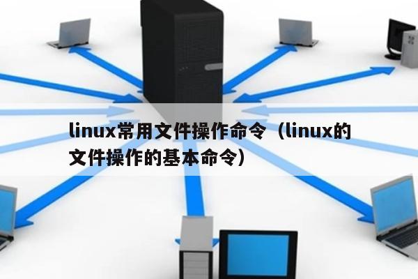 linux常用文件操作命令（linux的文件操作的基本命令） 第1张