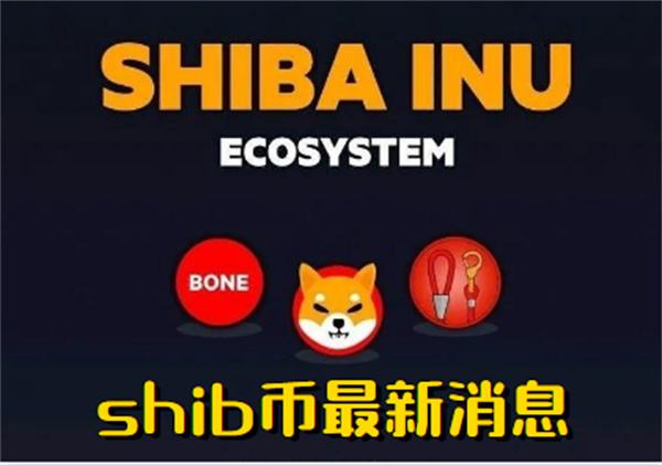 shib未来5年价格的简单介绍 第1张