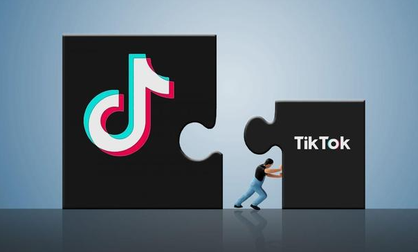 外国抖音tiktok下载_外国抖音tiktok怎么看不了 第1张