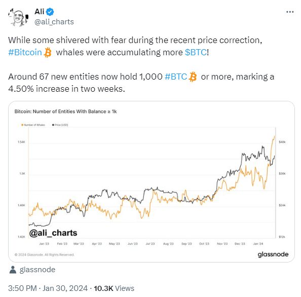 比特币行情最新价格表_比特币行情最新价格分析 第1张