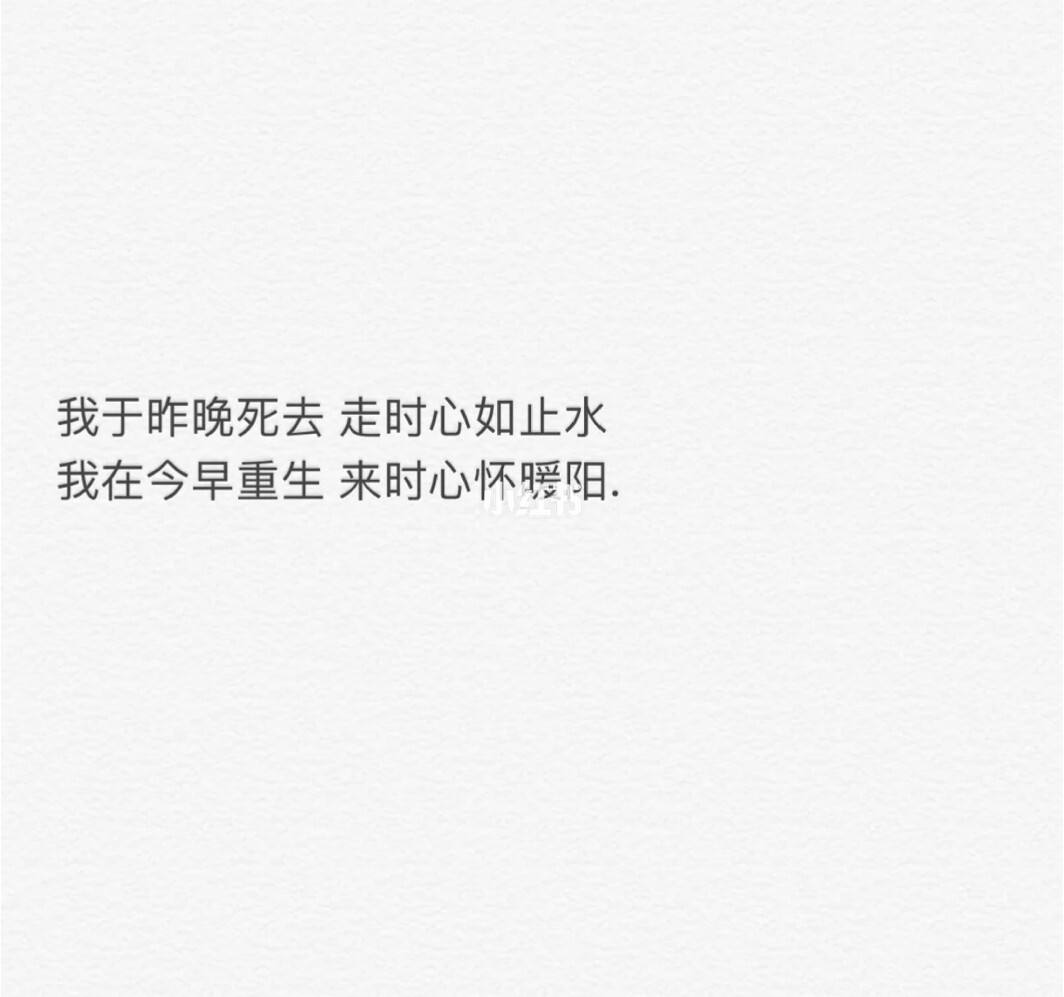 关于关于纸飞机文案短句干净的信息 第2张