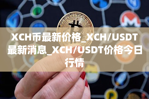 usdt好多种_usdt什么东东 第2张