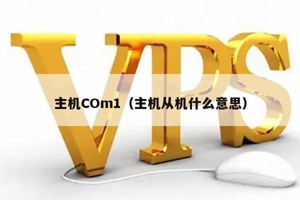 主机COm1（主机从机什么意思） 第1张