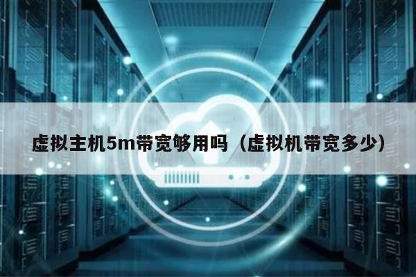 虚拟主机5m带宽够用吗（虚拟机带宽多少） 第1张