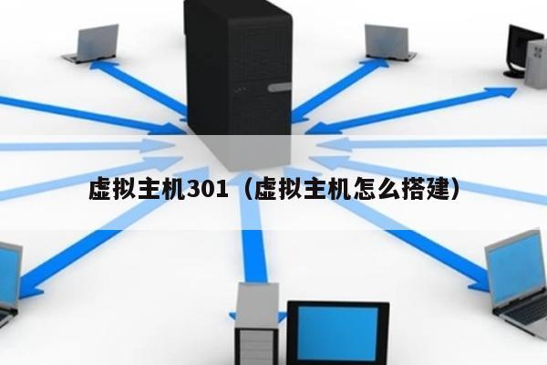 虚拟主机301（虚拟主机怎么搭建） 第1张