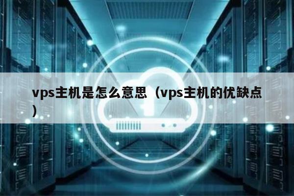 vps主机是怎么意思（vps主机的优缺点） 第1张