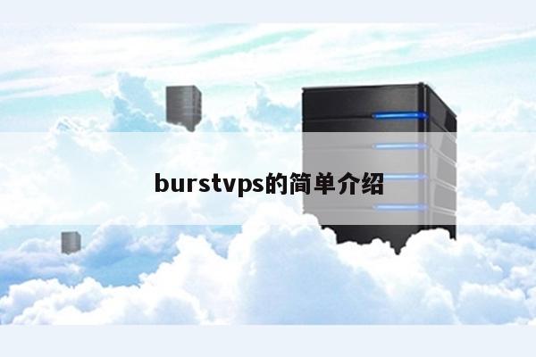 burstvps的简单介绍 第1张