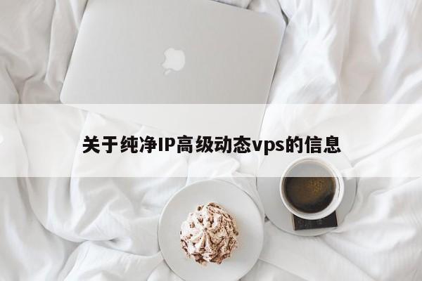 关于纯净IP高级动态vps的信息 第1张