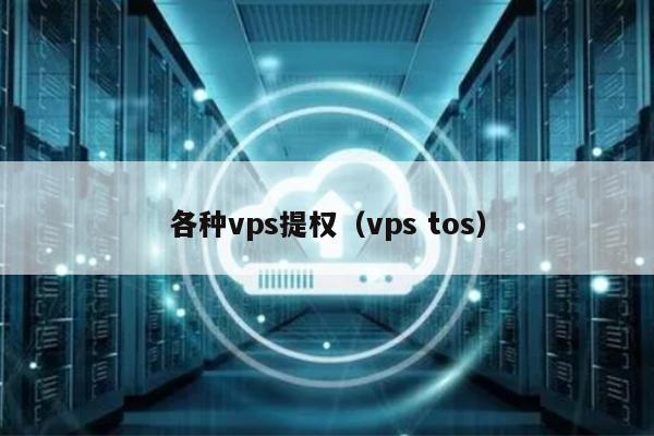 各种vps提权（vps tos） 第1张