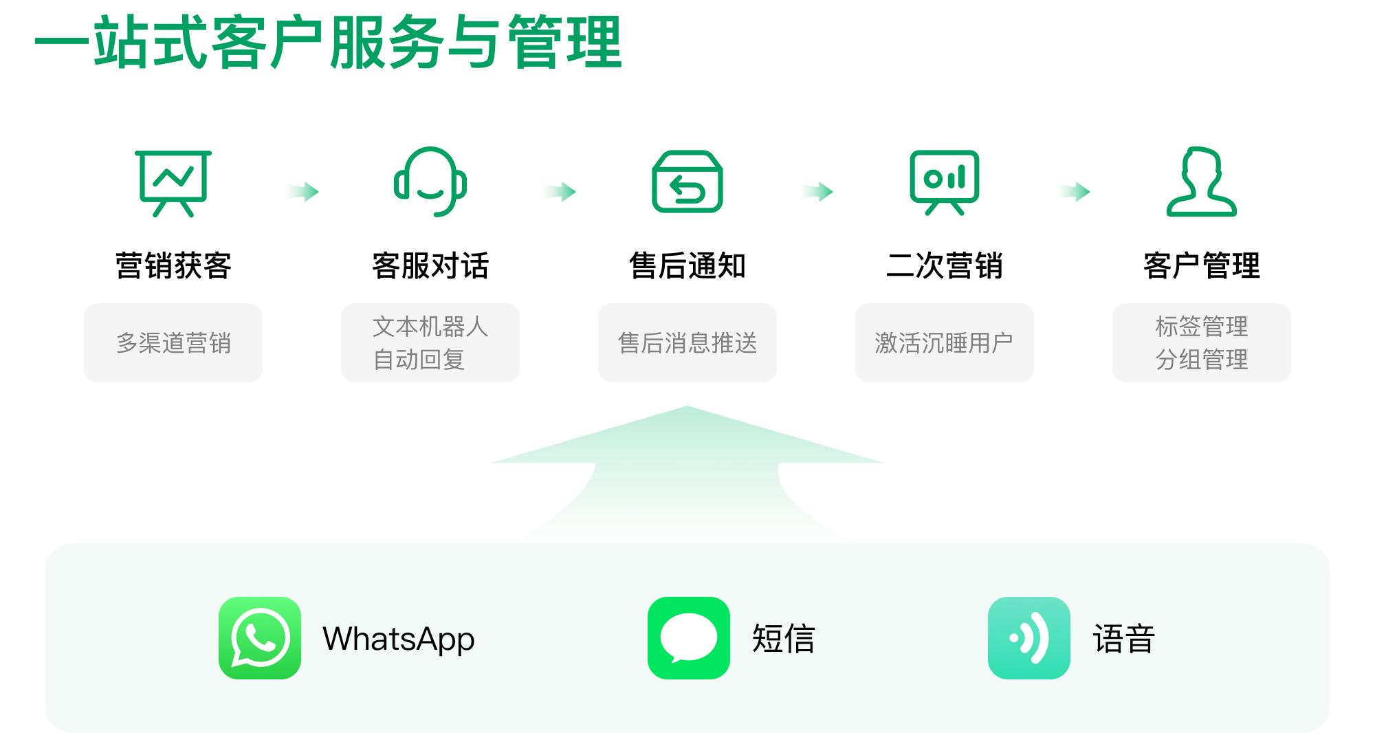 关于whatsappofficiallink的信息 第2张