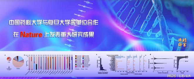 纸飞机卸载了怎么再登上去_telegram卸载之后登不上怎么办 第2张