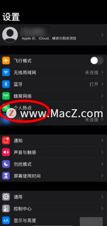 关于iPhone梯子能连接但是上不去网的信息 第1张