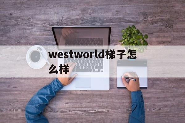 westworld梯子怎么样_westwingy西部世界官网 第1张