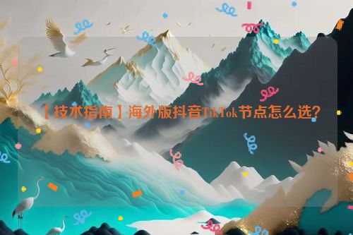 【技术指南】海外版抖音TikTok节点怎么选？ 第1张