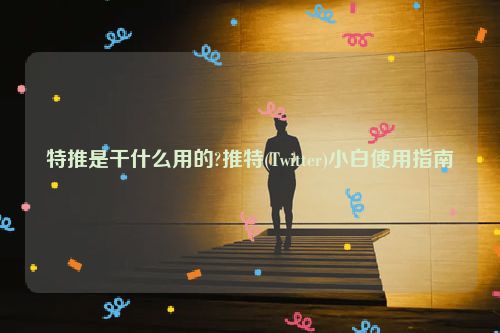 特推是干什么用的?推特(Twitter)小白使用指南 第1张